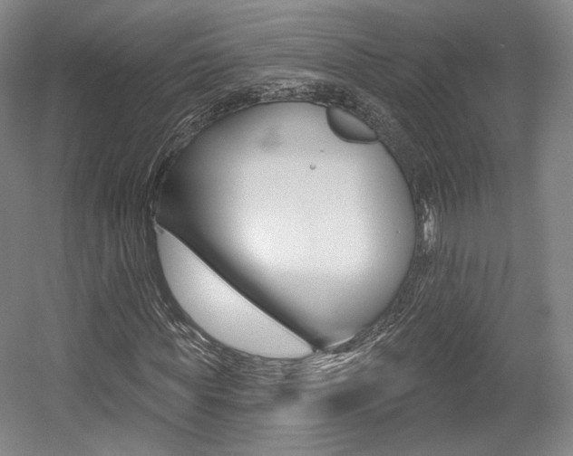 X0000056010819200508190851