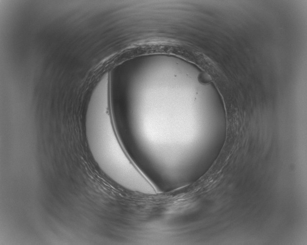X0000056010821200508190851