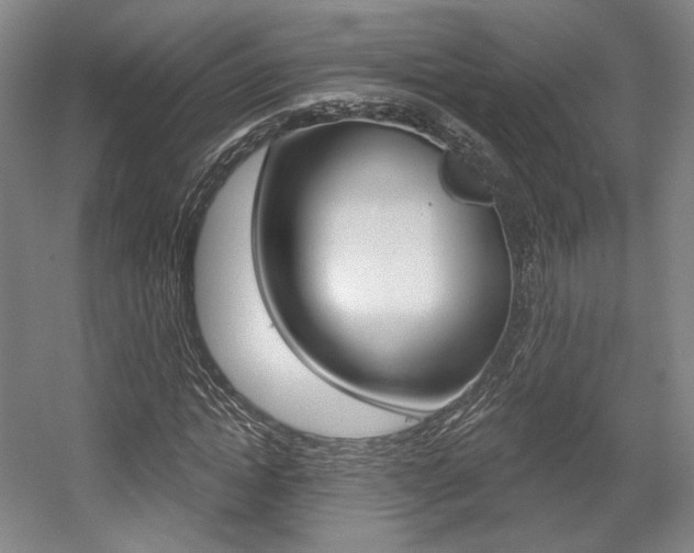 X0000056010822200508190851