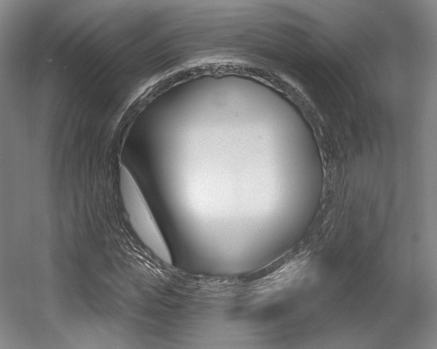 X0000056010823200508190851