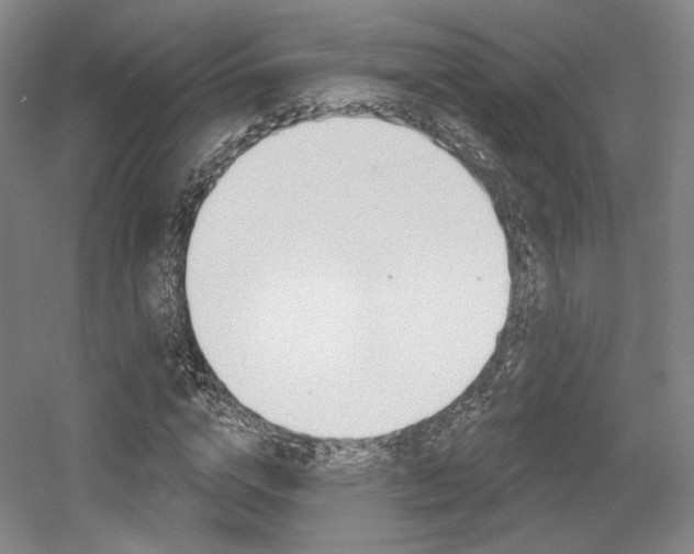 X0000056010824200508190852