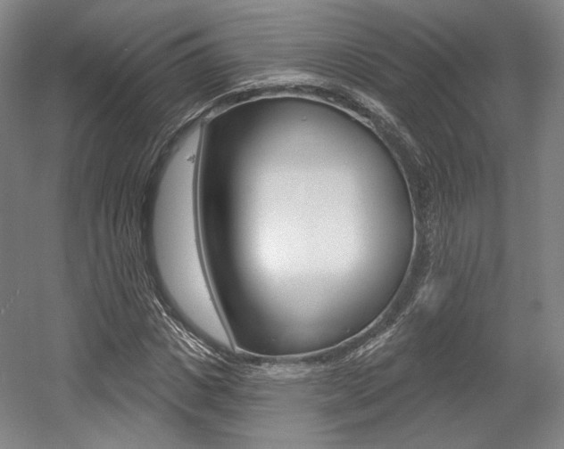 X0000056010825200508190852