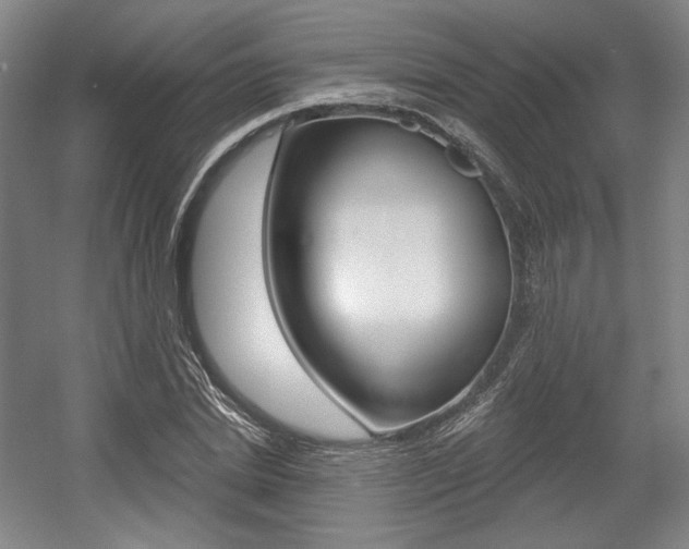 X0000056010830200508190852