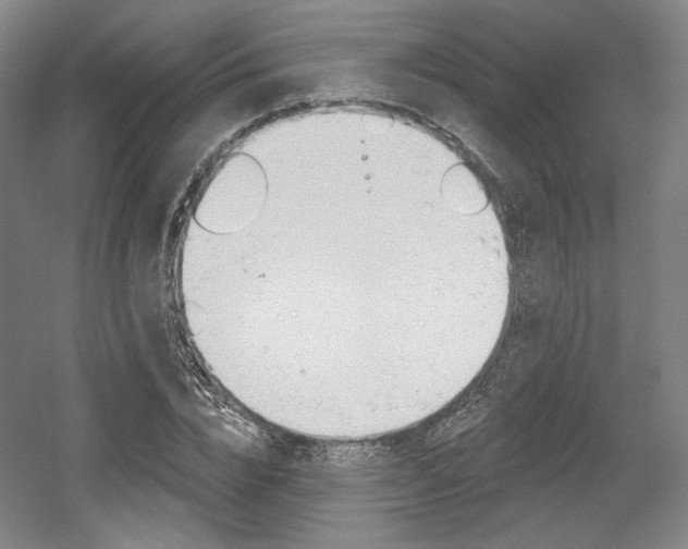 X0000056010832200508190852
