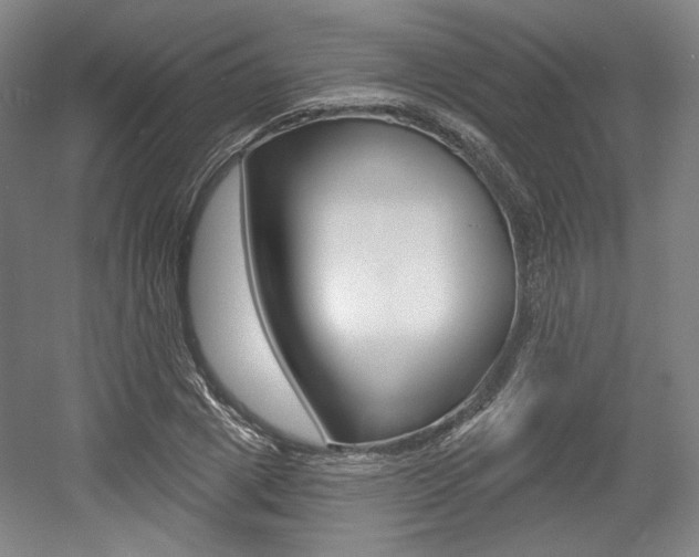 X0000056010833200508190852