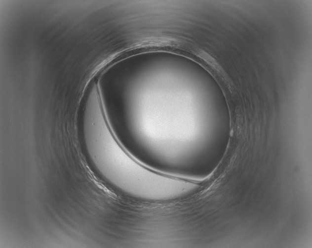 X0000056010834200508190852