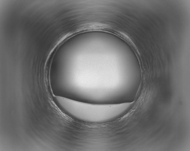 X0000056010835200508190852