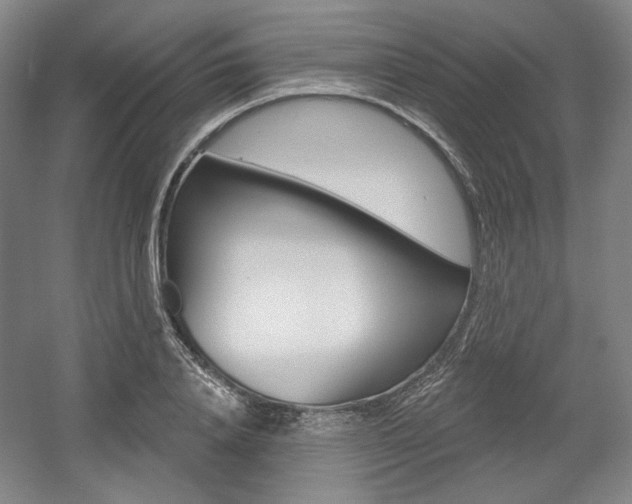 X0000056010840200508190852