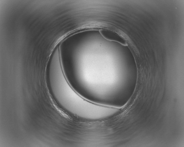 X0000056010842200508190852