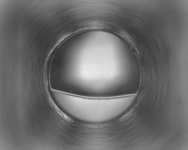 X0000056010843200508190852