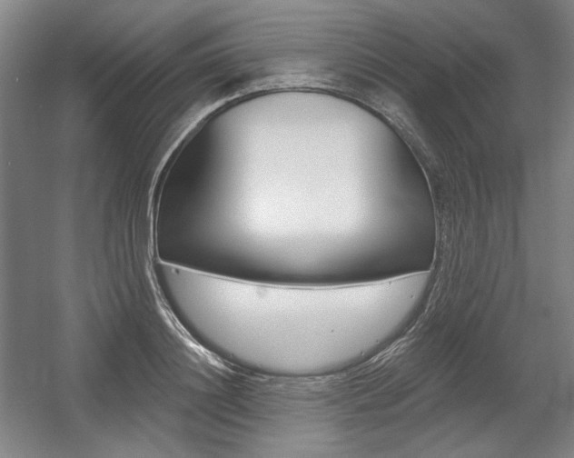 X0000056010844200508190852
