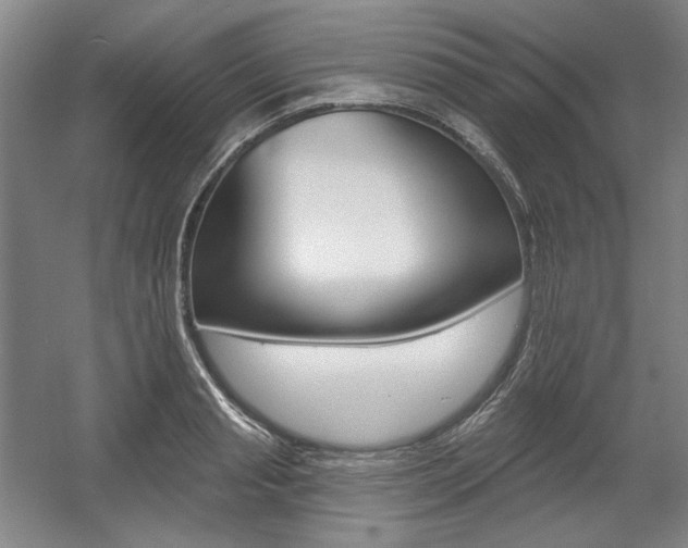 X0000056010845200508190852