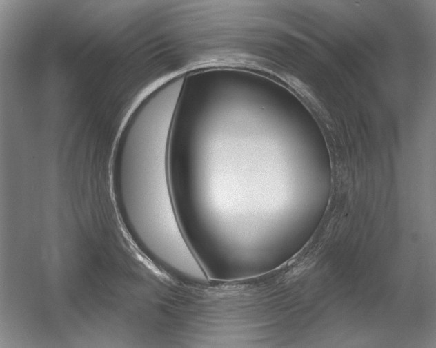 X0000056010846200508190852