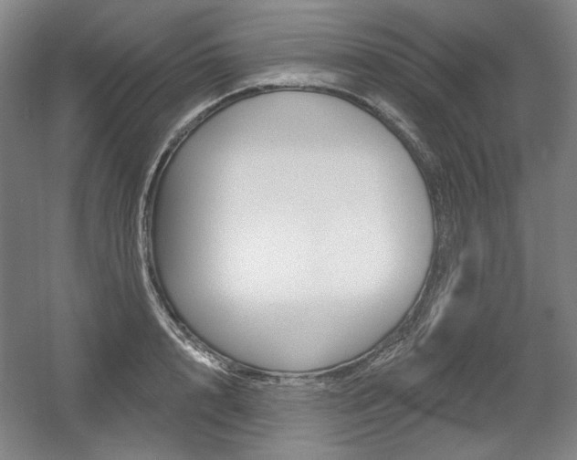X0000056010848200508190852