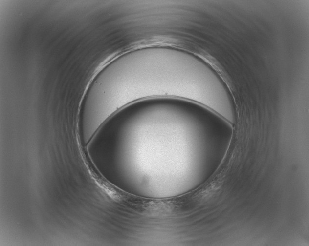 X0000056010850200508190852