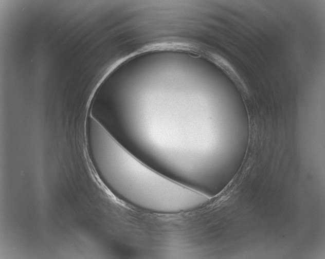X0000056010852200508190852