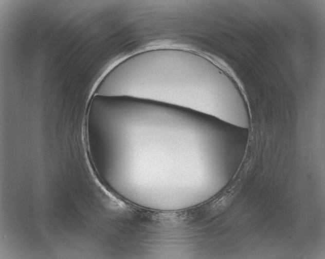 X0000056010855200508190852