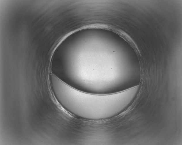 X0000056010860200508190852