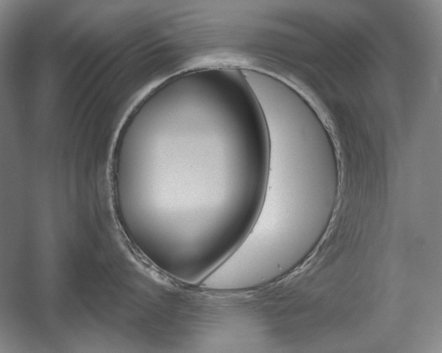 X0000056010864200508190852