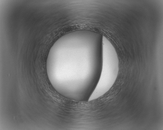 X0000056010865200508190851
