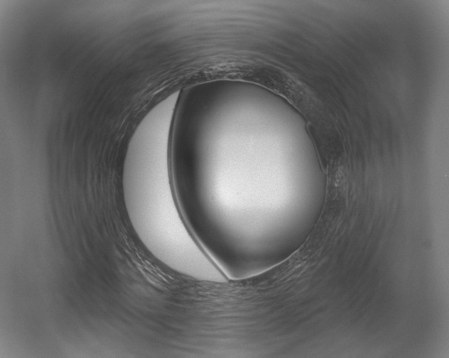 X0000056010868200508190851