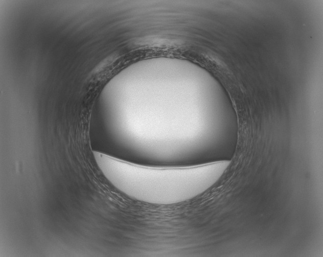 X0000056010869200508190851