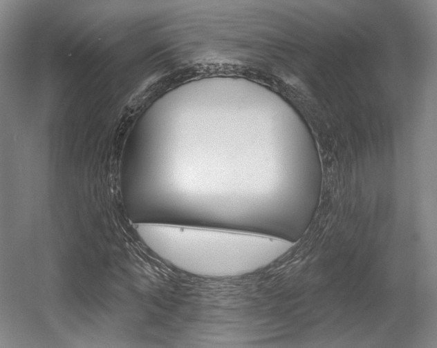 X0000056010870200508190851