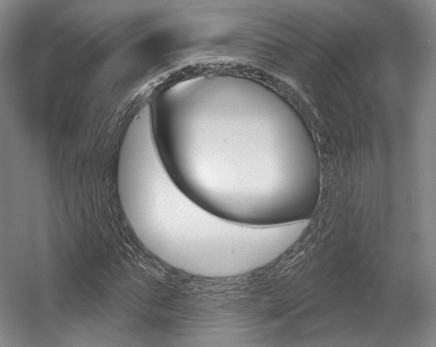 X0000056010871200508190851