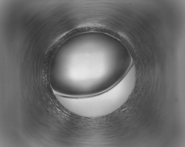 X0000056010872200508190851