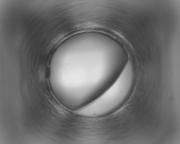 X0000056010873200508190851