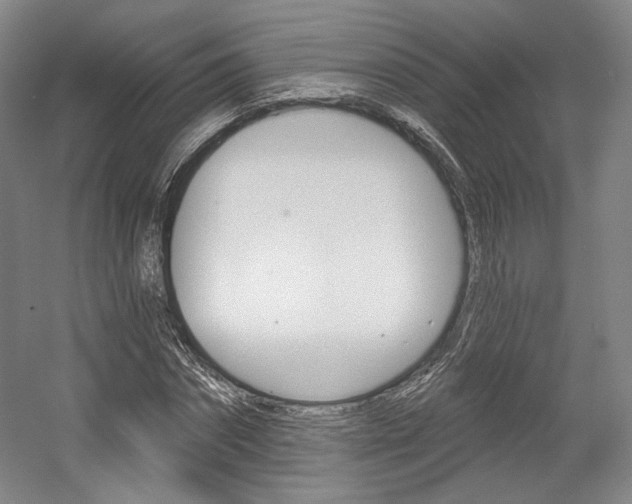 X0000056010874200508190851