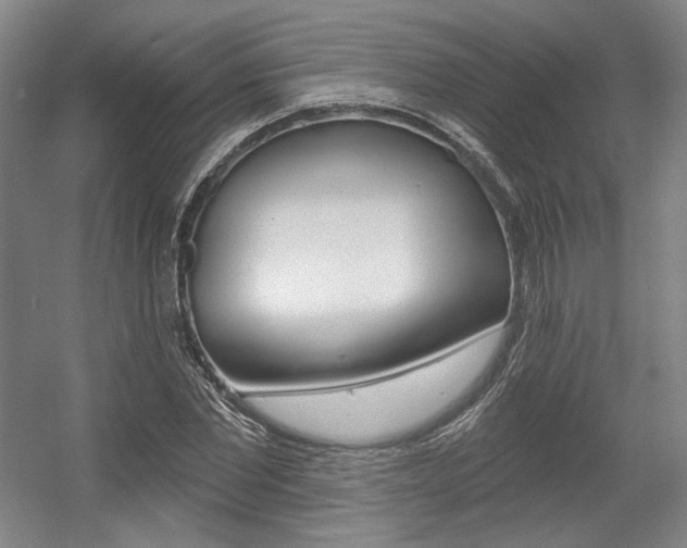 X0000056010877200508190851