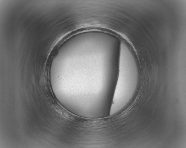 X0000056010879200508190851