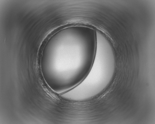 X0000056010880200508190851