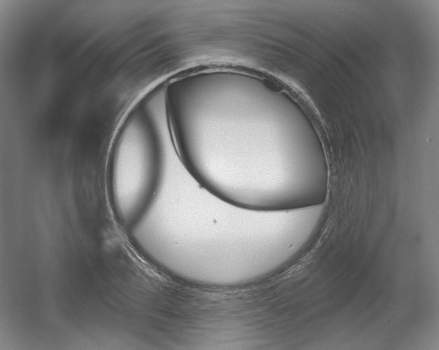 X0000056010887200508190851