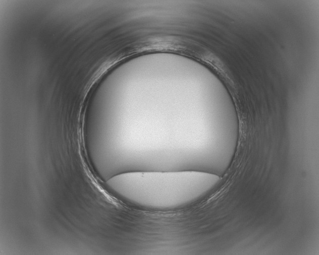 X0000056010890200508190851