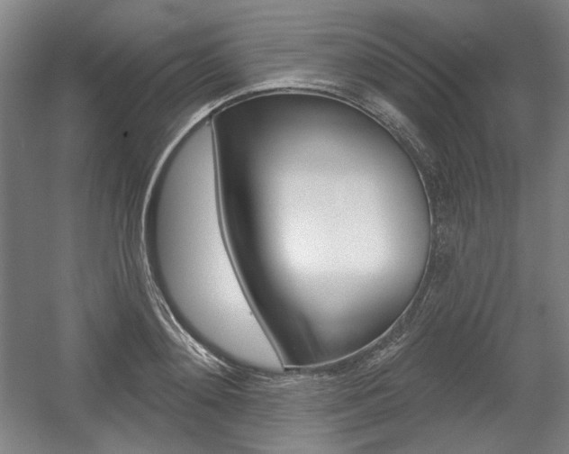 X0000056010892200508190851