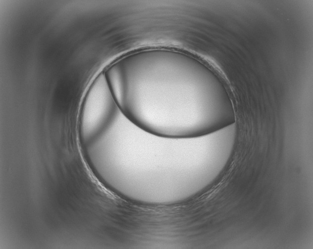 X0000056010895200508190851