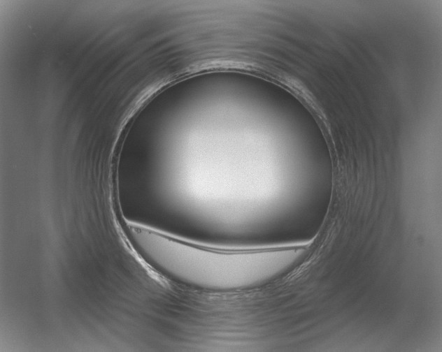X0000056010898200508190851
