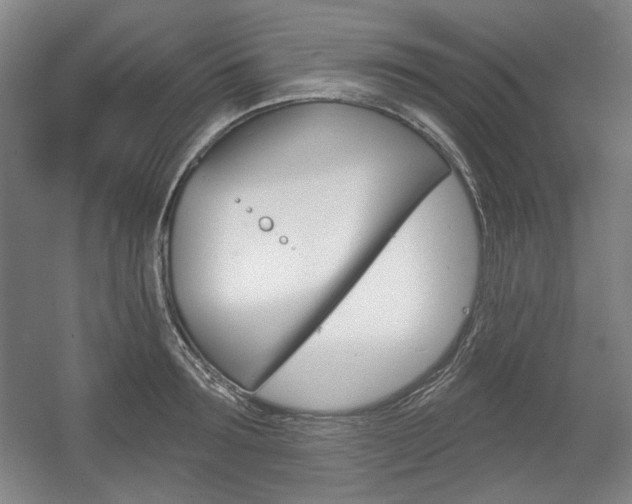 X0000056010899200508190851