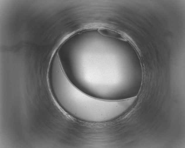 X0000056010901200508190851