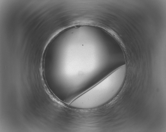 X0000056010904200508190851