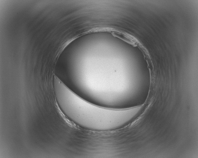 X0000056010905200508190851