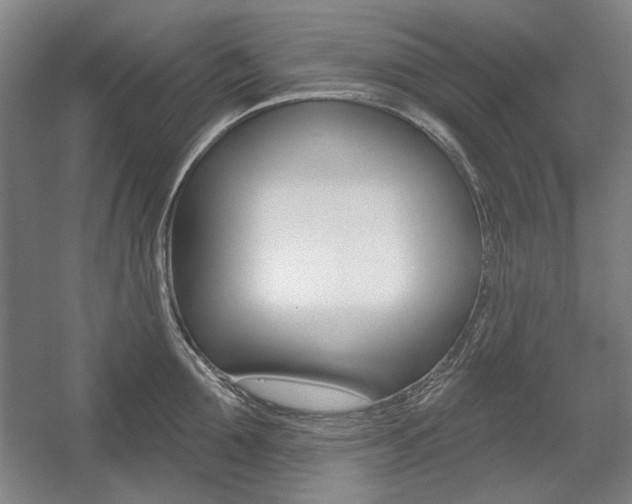 X0000056010907200508190851