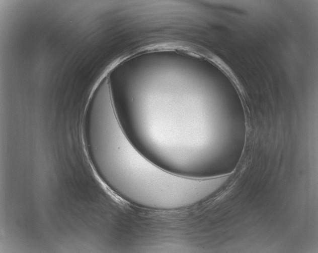 X0000056010909200508190851