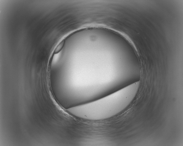 X0000056010911200508190851