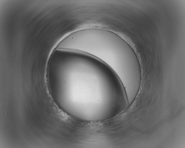 X0000056010912200508190851