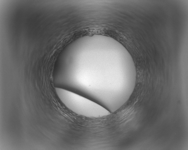 X0000056010913200508190850