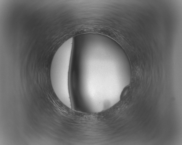 X0000056010914200508190850