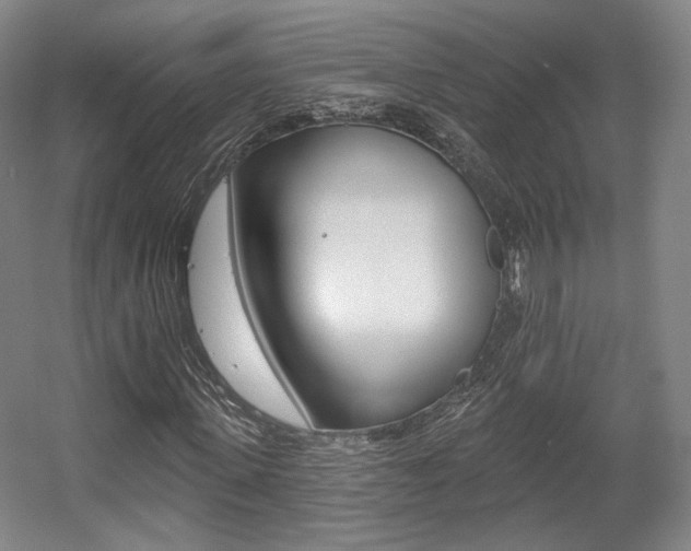 X0000056010915200508190850